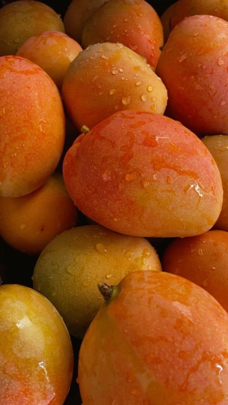 Traditional Kokan speciality Kokan Mangoes presented in its local setting