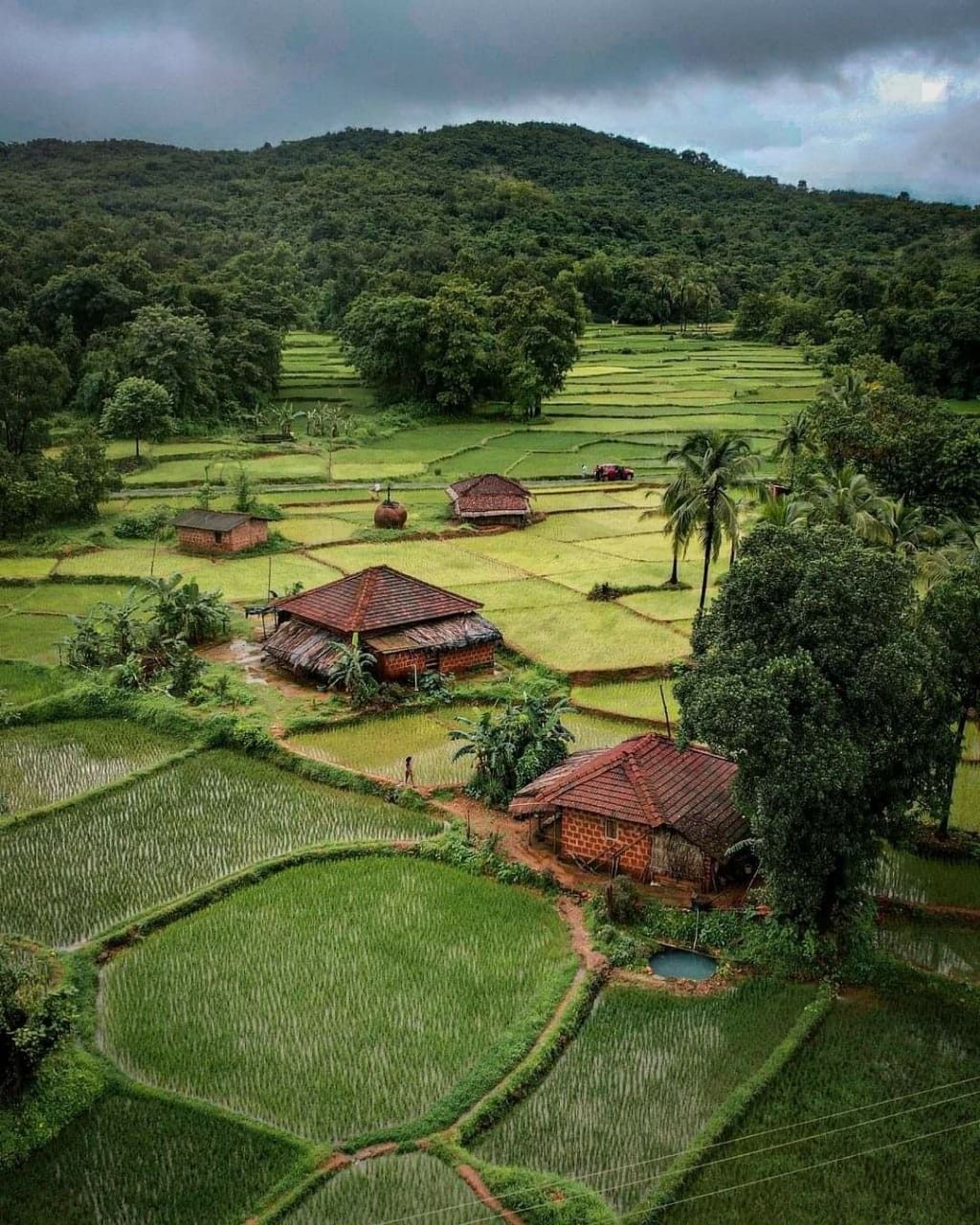 Green Kokan Hamlet surrounded by the landscape and homes of rural Kokan